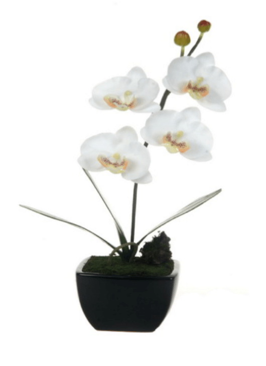 Vaso de Orquídea Phale Branco - LG Flores Artificiais