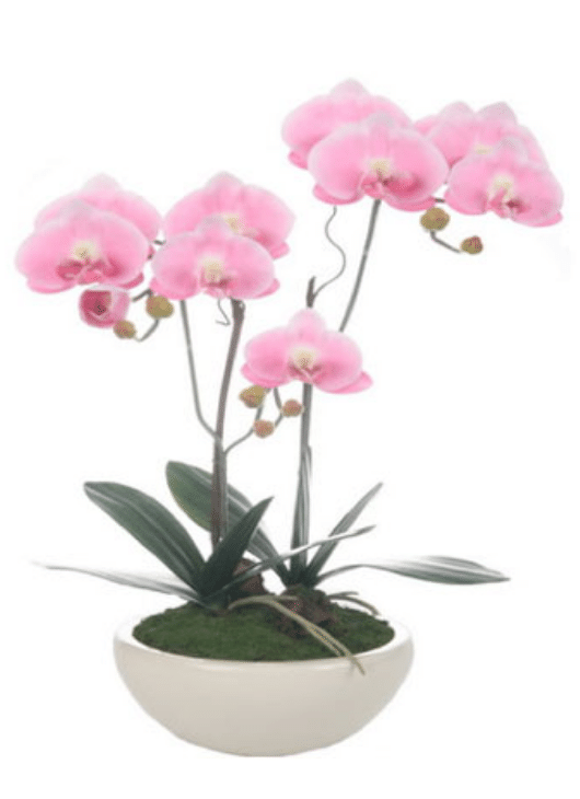 Arranjo de Orquídeas Rosa com vaso branco - LG Flores Artificiais